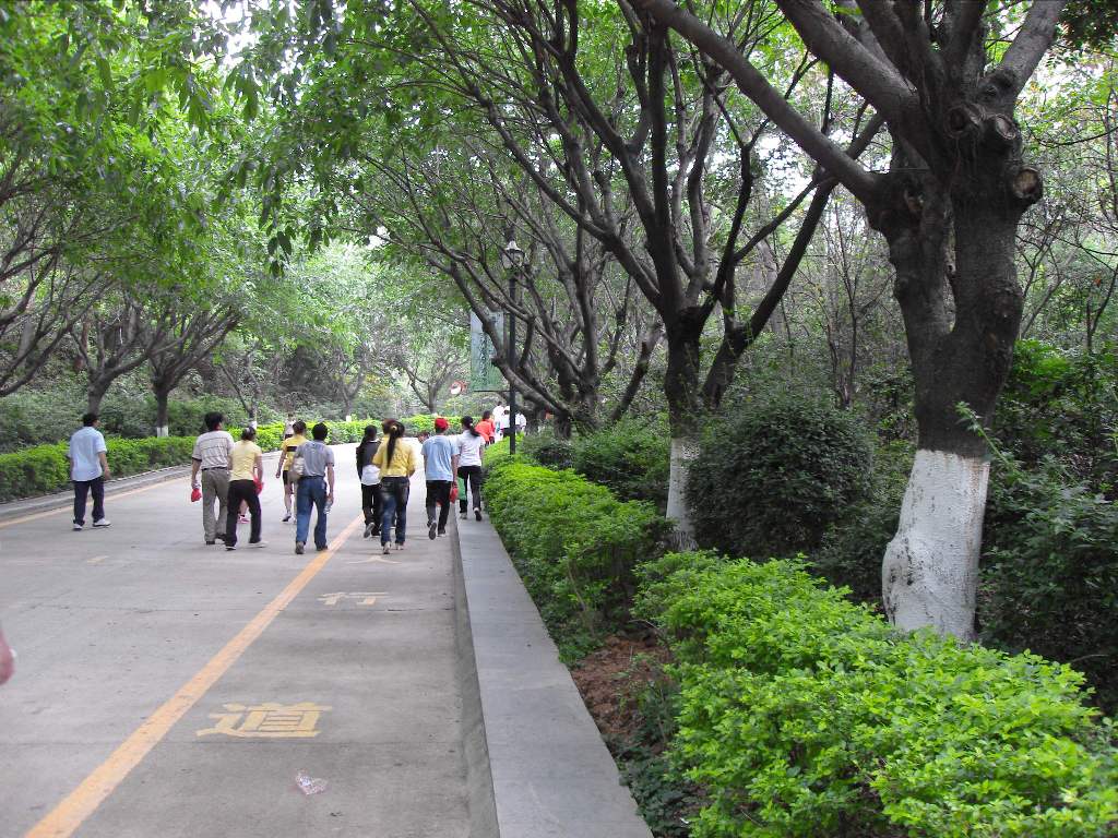 长安镇莲花山风景区,连绵十余公里_风景520 长安镇莲花山风景区,连绵十余公里