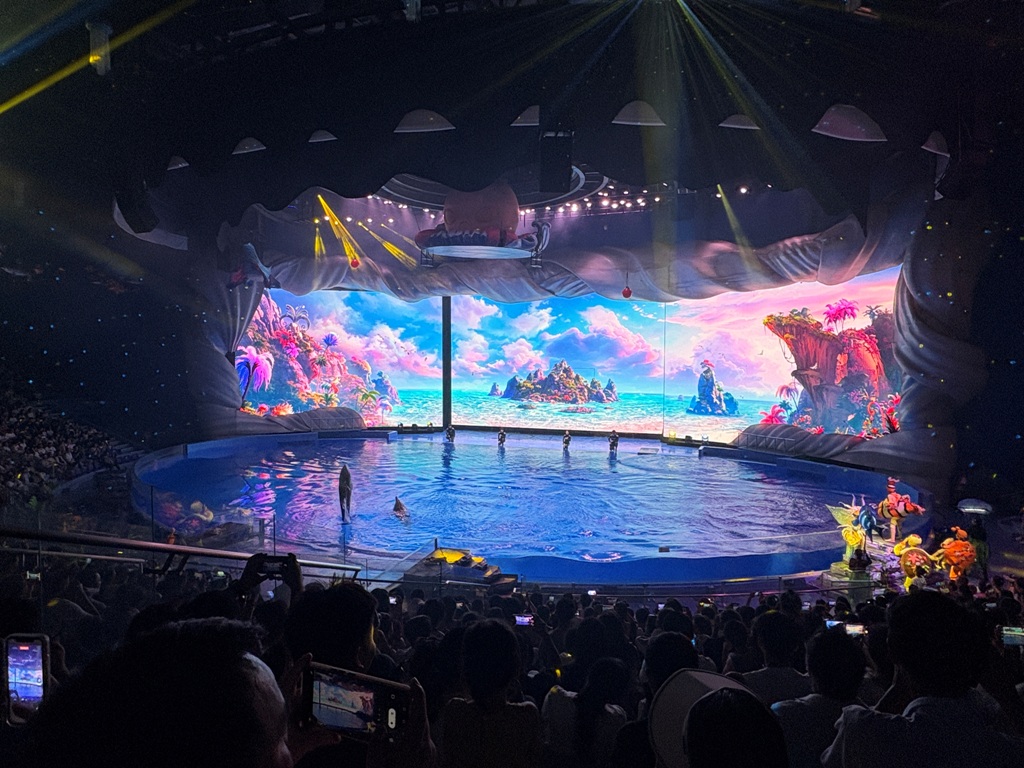 海洋剧场表演