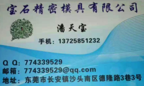 潘天宝 | 东莞市长安沙头宝石精密模具有限公司